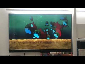 DVD Menu Walkthrough For Brother Bear 1 2003 DVD