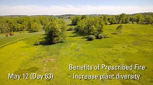 Look at all the new life! 🔥 Prescribed burns help control invasive species and allow native plants to thrive. This regeneration creates more diverse wildlife habitats that support a wide range of animals. As we observe Fire Awareness Month, it’s important to remember that fire is integral to healthy ecosystems—benefiting sensitive species and maintaining balanced, thriving landscapes. Low-intensity prescribed fires rejuvenate wildlife habitat and reduce fuel loads, helping prevent severe wildfi