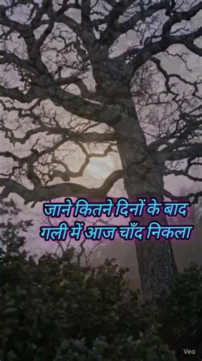 🌙 Gali Mein Chand Nikla ✨❤️#LyricsVideo #MelodyOfWords