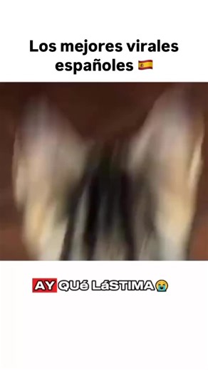 VIDEOS VIRALES DIARIOS🇪🇦 on Instagram: "Los mejores virales de España están aquí 👉 @humordespana 🤣🇪🇸 . . . . . . #humor #risa #risas #viral #reels #shorts #short #memes #love #instagram #fashion #reelsvideo #instagood #beautiful #españa #españoles #spain🇪🇸"