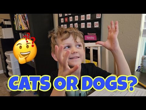 HOMESCHOOL LIFE WITH 5 KIDS!!! 😀 CATS VS DOGS?