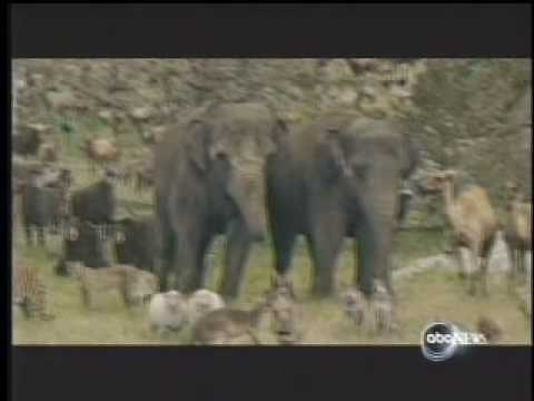 ABC News - "No Animals Were Harmed®" in Evan Almighty