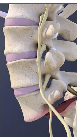 Think of Your Spine Like Building Blocks—Here’s What Happens When One Falls