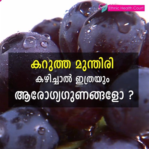 മുന്തിരിപ്പഴം ഇഷ്ടപ്പെടാത്ത ഒരാളെ കണ്ടെത്താൻ പ്രയാസമാണ്. 3 വ്യത്യസ്ത നിറത്തിൽ കാണപ്പെടുന്ന ഇവയെ കുട്ടികൾ മുതൽ മുതിർന്നവർ വരെ ഇഷ്ട്ടപ്പെടുന്നു. ഇതിൽ കറുത്ത മുന്തിരി ആകും എല്ലാവര്ക്കും കൂടുതലിഷ്ടം. എന്നാൽ പലർക്കും അറിയാത്ത ഒന്നുണ്ട് കറുത്തമുന്തിരിയുടെ ആരോഗ്യഗുണത്തെപ്പറ്റി. എന്താണെന്നല്ലേ.? ഈ വീഡിയോ ഒന്ന് കണ്ടുനോക്കൂ. ഈ വിലപ്പെട്ട അറിവ് പൊതുസമൂഹത്തിനായി ഷെയർ ചെയ്യൂ.! Like Ethnic Health Court It’s hard to find someone who doesn’t like grapes. Available in 3 different colors, they are loved by childr