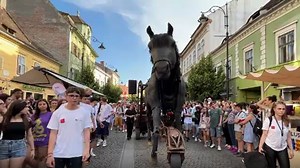 Sibiul a devenit cea mai mare scenă de teatru din Europa. Spectacol impresionant al artiștilor din Franța