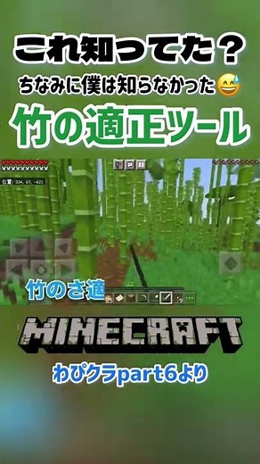 【マイクラ#shorts 】言われればそうかも🤔竹の適正ツール#minecraft #マイクラ