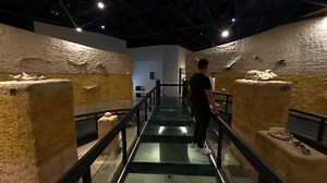¿Sabían que en el Parque Agua Azul, ubicado en Guadalajara, pueden disfrutar de la naturaleza y realizar distintas actividades lúdicas, como visitar el mariposario, el orquidiario y el Museo de Paleontología? Si están en la ciudad, aprovechen los últimos días de vacaciones para recorrerlo. Y si están en el interior del estado, pueden explorarlo desde casa con este recorrido virtual en 360°: https://youtu.be/Hh_-aoq8eZ8?si=gsNR4Yhk8R_3O3y- | Secretaría de Educación Jalisco