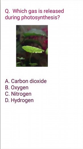 Life Processes Explained Simply | Exam Ready in 1 Minute|Class 10 Life Processes 🔥 One-Shot Revision