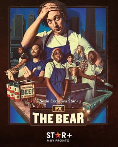 The Bear T01