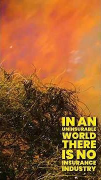 An uninsurable future? | Climate Majority Project