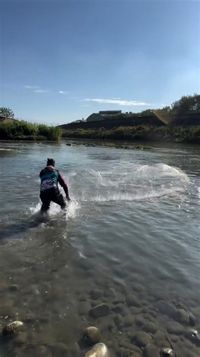 oceanfood on Instagram: "#floridafishing #fish #floridacommunity #usafishing #castnet"