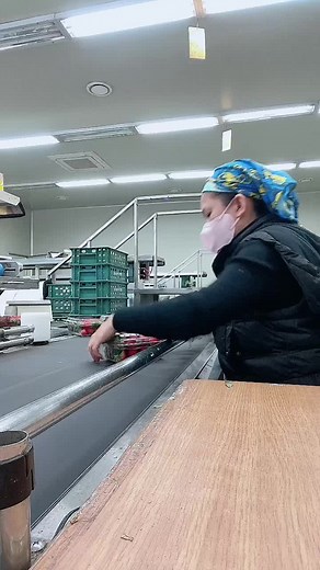 Food Packaging Process: Strawberry Production Insights