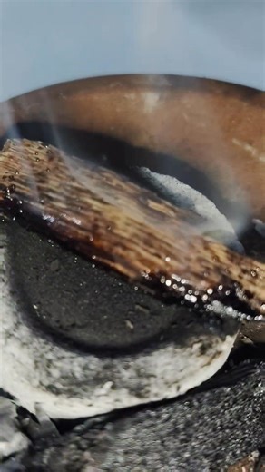 From tiny seeds to mighty trees, we nurture them with patience, faith and care. When the time comes, nature gives us something rare- the fragrant heartwood, Agarwoos, also known as GINTO SA GUBAT. #agarwood #fyp #AgarwoodFarming #pasi #agarprime | Philippine Agarwood Community