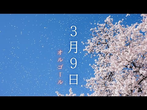 【卒業ソング・オルゴール】「3月9日／レミオロメン」1時間耐久・途中広告なし｜睡眠用・作業用・勉強用BGM