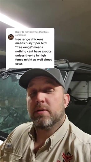 18K views · 200 reactions | Exotic animal range across Texas and more #Texas #freerange #exotics #exotic #aoudad #axis #animals #jamesbigleyranches | James Bigley Ranches | Facebook