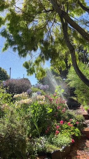 Creating Your Perfect Cottage Garden for Summer