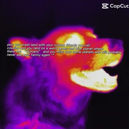 but your not nerdy enough to understand#oc #persona #trend #capcut #trio