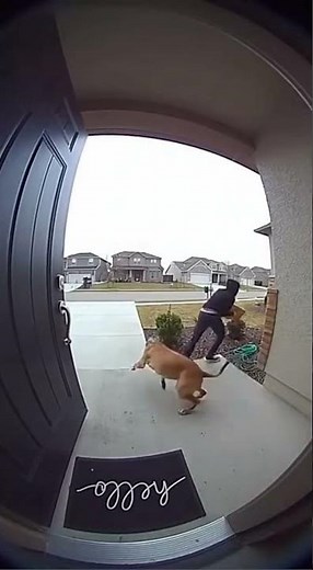 Caught Stealing the Bait Box! Funniest Porch Pirate Prank Ever