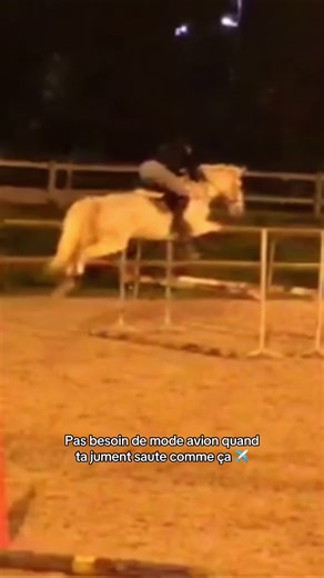 Attachez vos ceintures ✈️ #jumping #horse #competition #CSO