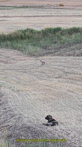 1.4M views · 8.3K reactions | "We've shared never-before-seen footage...