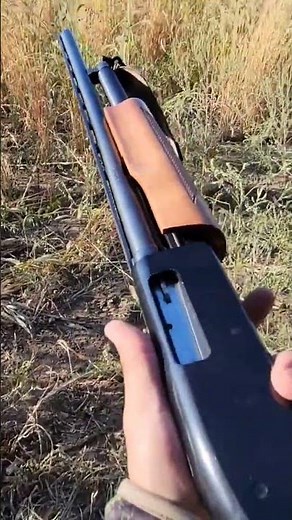 Mossberg 500 20 Gauge Shotgun