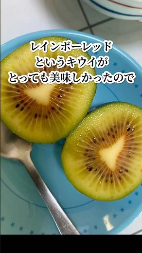 昨年種から育てたキウイ🥝発芽 #野菜作り #再生栽培 #プランター #キウイ #キウイの育て方 #種から育てる