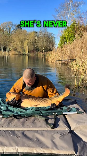 Stocking a 64lb Common Fish in UK Monument 1