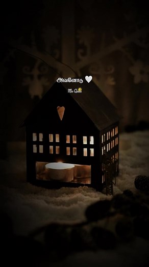 Heartfelt Tamil Love Song Status Video for WhatsApp