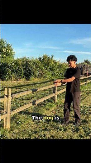How to use the leash to punish leash pulling (when on prong collar)