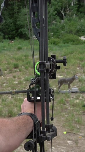 The novelty shots at Total Archery Challenge were a blast! Who's shot for the truck? . . #bowdisciples #archery #compoundbow #bowandarrow #tac #totalarcherychallenge #fyp #viral