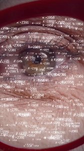 👓 ¿Sabías que tus lentes progresivas pueden ser mucho más cómodas? Las lentes progresivas VIMAX ADAPTATIVE usan la Inteligencia Artificial para adaptarse a tu visión y a tu estilo de vida. Estas son sus ventajas: ✅ Adaptación rápida y natural ✅ Visión clara y nítida en todas las distancias ✅ Diseño optimizado si usas además otra gafa ocupacional Si buscas una experiencia visual mucho mejor, es momento de probar VIMAX Adaptative. #VIMAX #VIMAXADAPTATIVE | Vimax Lens