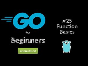 #25 - Go Function Basics