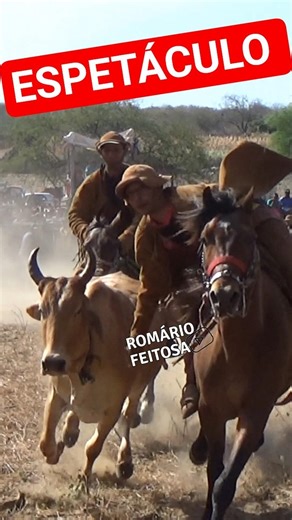 Spectacular images #romariofeitosa #pegadeboinomato