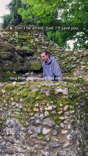 When you’ve got a super protective dog#dog#dogperson #funny#cute#dogsoftiktok