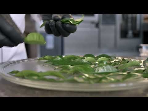 How to make Kaffir Lime Leaves Powder?