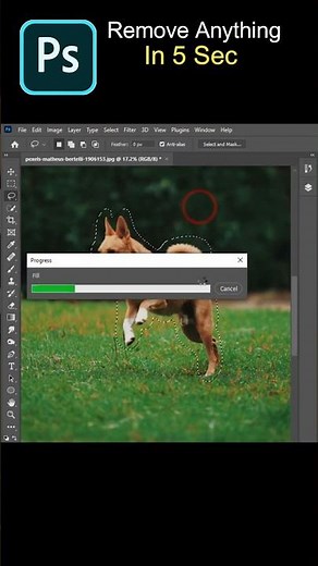 2024 AI Photoshop Tutorials
