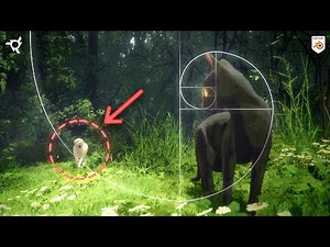 The 4 Techniques That Made Flow an Oscar-Winning Film