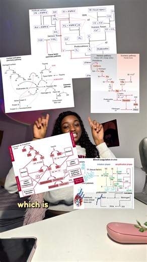 Revolutionize Your Medical Studies with AI Screen Sharing