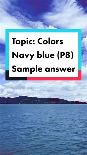 Navy Blue: The Color of Confidence and Success