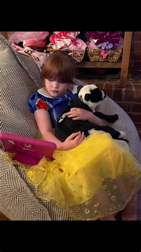 When you bottle feed sheep 🐑 every one will help ! Teach them to love ❤️ animals #TikTokCreatorSearchInsightsIncentive #cutepets #animals #animalfun #cuteanimals