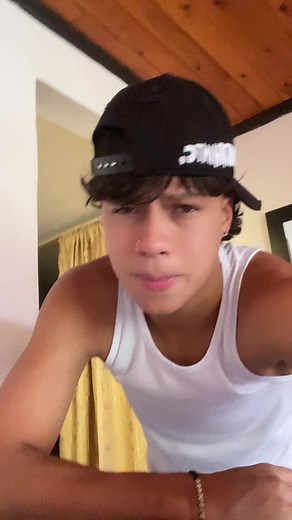 Understanding Sign Language Through Gestures