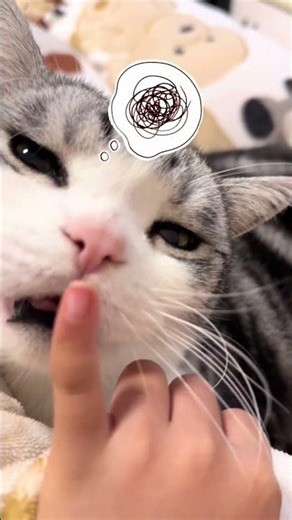 Cat's Code Malfunction! Watch the Unbelievable Hack
