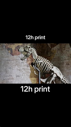 12h print tyronasaurus t-rex #3d #timelapse #3dprinting #dino #fossil #trend #hype