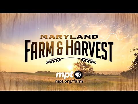 Watch Maryland Farm & Harvest!