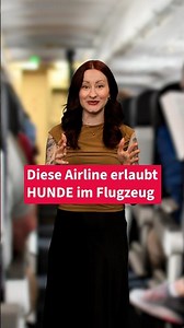 🐾 First airline in Europe allows large dogs in the cabin – no cargo hold and no crate.