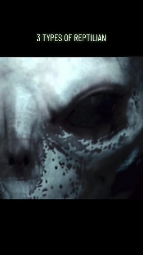 #Disclosure #UFOs #UAPs #Aliens #Reptilians #Aliensarereal #alienabduction #genetics #unknown #et #subterranean #interdimensional #wearenotalone #challengereality