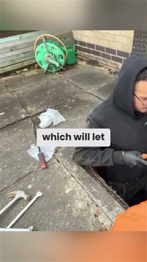 Rats Under Your House? This is how to get rid of Rats. #rats #pestcontrol #diypestcontrol