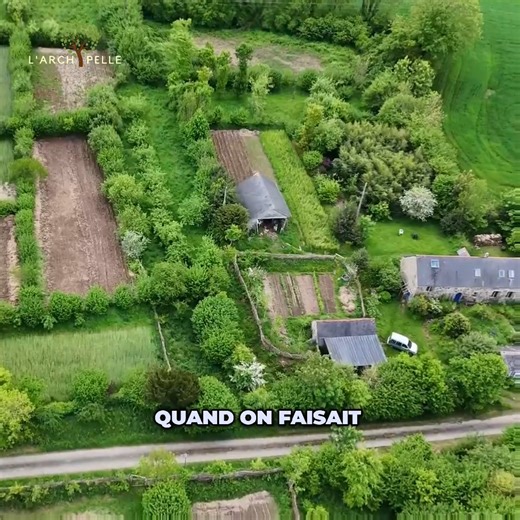 "la société a montré qu'elle écrase les indigène" : Samuel Lewis nous explique sa philosophie de vie, et à quel point la culture de la terre est notre bien le plus précieux.#Autonomie #philosophie #AgricultureBiologique | L'ArchiPelle