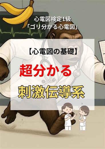 刺激伝導系とは？超分かる心電図の基礎（看護師向け）