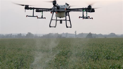 Precision Spray Drones: The Future of Invasive Species Control
